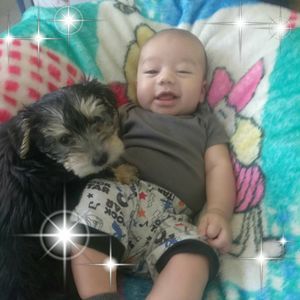 Meet your Posher, Melanie